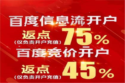 百度竞价推广代运营经典案例分析